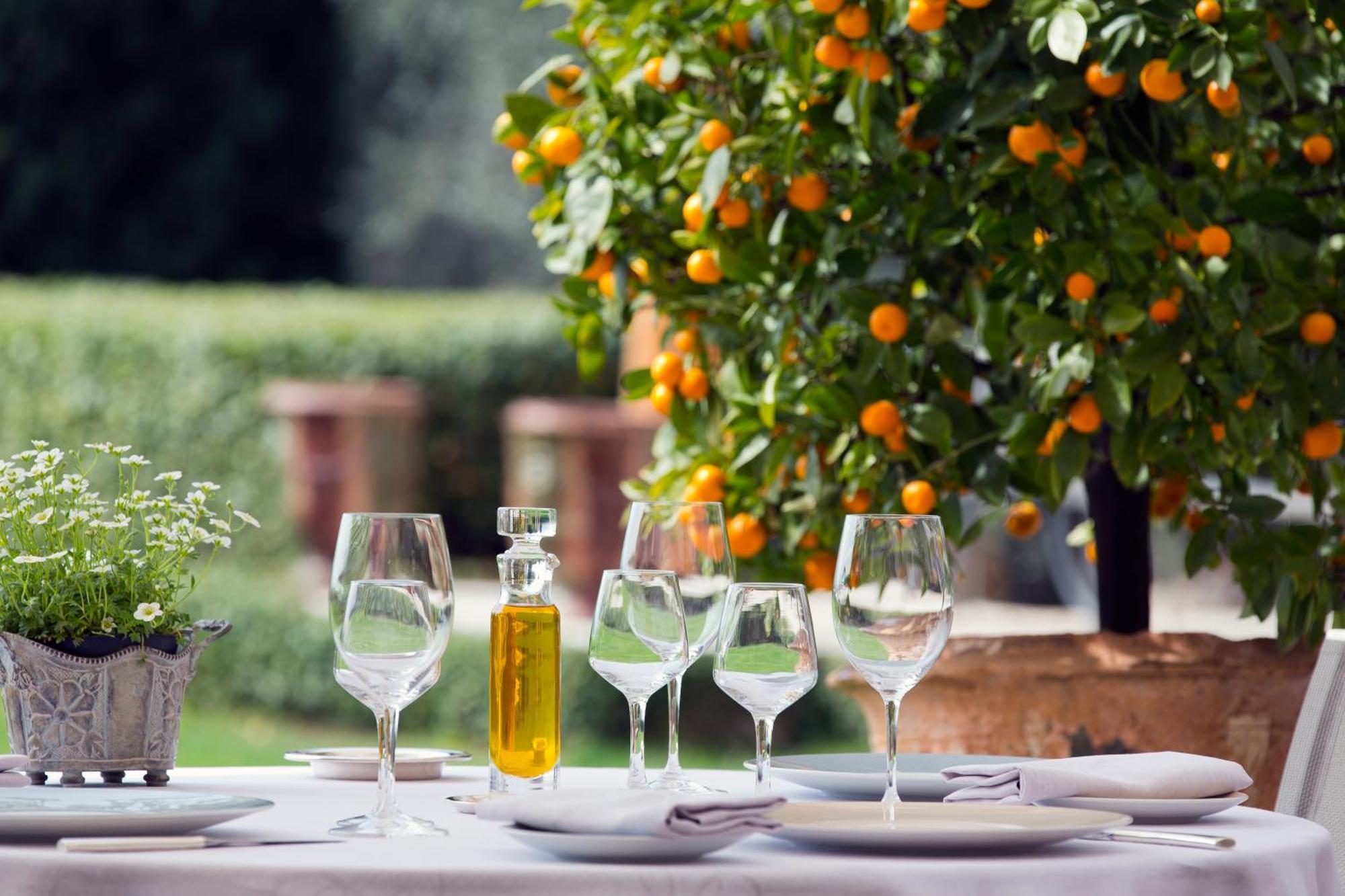 Bastide Saint Antoine - Relais & Chateaux 格拉斯 外观 照片